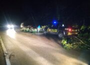 Hujan Lebat Disertai Pohon Tumbang di Kabupaten Sijunjung, Polisi Intensifkan Patroli