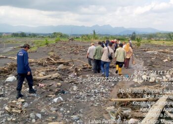 Lahan Pertanian Terdampak erupsi Marapi
