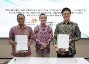 Kerja Sama Strategis Telkom dan Scala Jepang Dorong Inovasi Pertanian Demi Keberlanjutan Pangan