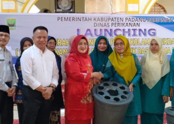 PKK Padang Pariaman Budidayakan Ikan Dalam Ember untuk Ketahanan Pangan