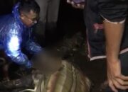 Kabupaten Agam Dikepung Bencana, Ada Korban Jiwa