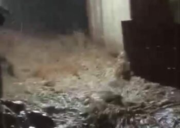 Banjir Bandang Landa Sungaipua, Rumah dan Tiang Listrik Ambruk