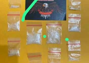 Bandar Narkoba di Sungai Pagu Ditangkap Satnarkoba Polres Solsel