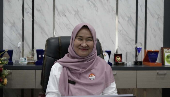 Data Bencana Lahar Dingin Marapi Tak Seragam, Diskominfo Segera Buat Dashboard Digital Real Time