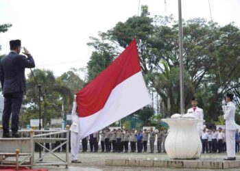 Sambut Teknologi dan Digitalisasi, Solsel Siap Berperan Menuju Indonesia Emas 2045