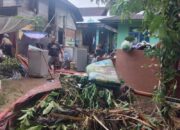 Banjir Bandang di Nagari Padang Sibusuk, 98 Rumah dan Puluhan Hektare Sawah Terdampak