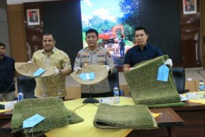 Penambang Emas Ilegal