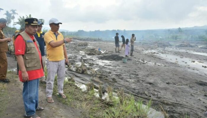 Banjir Lahar Dingin di Agam Rusak Ratusan Hektare Lahan Pertanian
