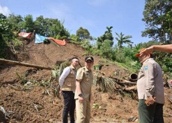 BPBD Kota Sawahlunto melaporkan dampak dari bencana banjir dan longsor menyebabkan 250 rumah rusak dan satu korban jiwa.