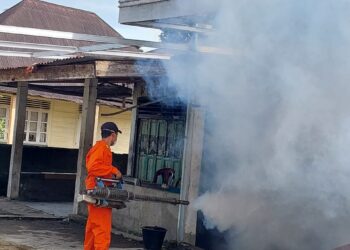Pemkab Pasbar Lakukan Fogging untuk Antisipasi KLB DBD