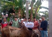 Penyerahan Sapi Kurban ASN dan BUMD Sumbar, Masyarakat Sampaikan Ucapan Terima Kasih pada Gubernur