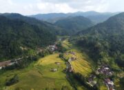 Desa Wisata Pesona Pagadih, Surga Tersembunyi Bersejarah di Gugusan Pegunungan Bukit Barisan