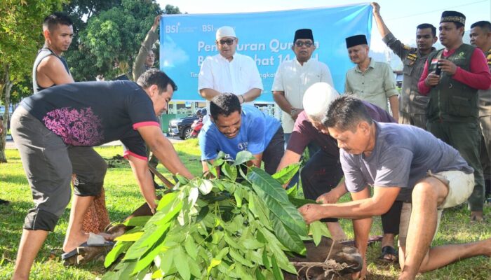 Iduladha 1445 H, BSI Regional 3 Palembang Salurkan 73 Hewan Kurban