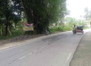 62 TPS Liar Sudah Ditertibkan di Kota Padang