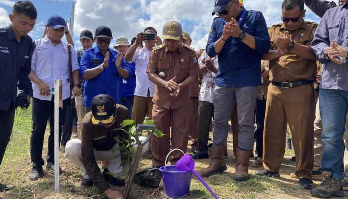 Pemulihan Kerusakan DAS Batang Sikabau, PT Bakrie Pasaman Plantations Bersama Pemda Tanami 150 Pohon