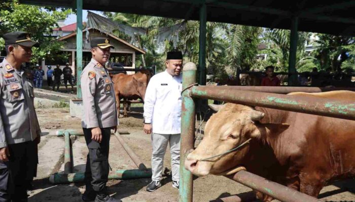 Jelang Iduladha Kapolres Pasbar dan DPP Tinjau Pasar Ternak