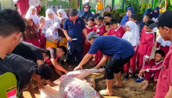 MIN Bukittinggi Gelar Penyembelihan Hewan Kurban
