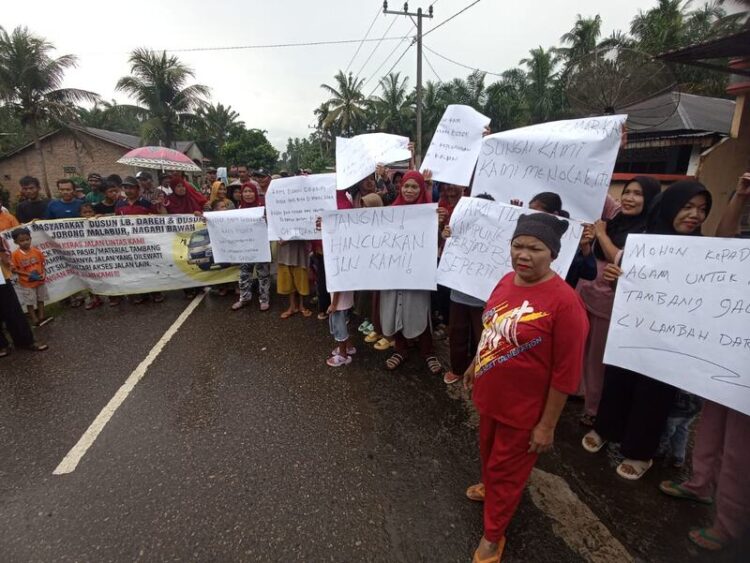 CV Lambah Dareh Sejahtera