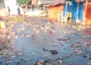 Abrasi Tambah Parah, Air Masuk hingga Pemukiman Warga di Ulakan