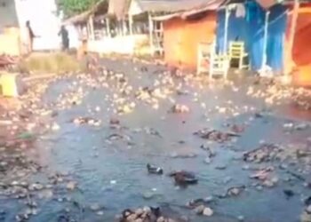 Abrasi di pantai di Nagari Manggopoh Palak Gadang, Ulakan Tapakis, bertambah parah. Saat ini air laut sudah masuk ke pemukiman