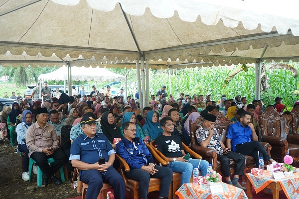 Pemkab Solsel diminta untuk terus memaksimalkan pelayanan sehingga masyarakat merasakan kehadiran pemerintah.