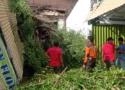 BPBD Kota Padang Bersihkan Material Pohon Tumbang yang Hambat Akses Jalan