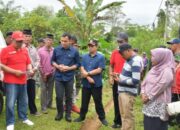 Pemnag Gadut Buka Jalan Usaha Tani Sepanjang 1,1 KM
