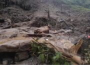 Longsor di Mimika, Tujuh Warga Meninggal Dunia