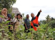 BNPB Siapkan Sistem Peringatan Dini Banjir Lahar Dingin Gunungapi Ibu