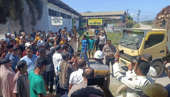 Buntut Dua SK Koperasi Plasma, Operasional Pengolahan Sawit Hasil Kebun PT LIN Terhenti, Nasib 800 Pekerja Terancam