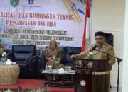 Targetkan Nilai Investasi Baru Rp 35 Miliar, Padang Panjang Berikan Kemudahan