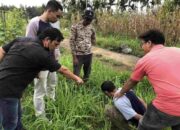 Simpan Narkotika Jenis Sabu, Petani di Halaban Diringkus Polisi