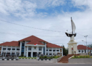 Dinkes Kota Pariaman : Dua Warga Meninggal Akibat DBD