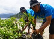 Pertamina Lakukan Penanaman 1.000 Bibit Mangrove di Desa Wisata Teluk Buo