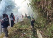 Rangkaian HUT RI, Tiga Nagari di Kecamatan Lareh Sago Halaban Goro