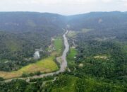 Kondisi Hulu Dua DAS Utama Sumbar Kritis, Forum DAS dan WALHI Sumbar Serukan Upaya Penyelamatan Bersama