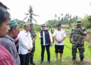 Aktifkan Lahan Tidur, Nagari Lareh Nan Panjang Dikunjungi Kementan