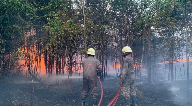 BNPB mencatat luas lahan yang terbakar akibat Kebakaran hutan dan lahan atau karhutla wilayah Kecamatan Bintan Utara mencapai 8 hektare