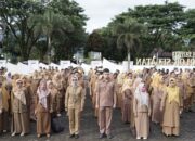 CPNS 2024, Pemkab Solsel Membuka 44 Formasi