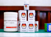 Pilkada 2024 Bakal Gunakan Tinta dari Gambir Inovasi Unand