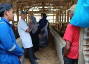 Berdayakan Ekonomi Masyarakat, Dosen UMMY Solok Bimbing Keltan Produksi Biogas