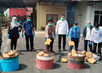 Polres Padang Pariaman Musnahkan Barang Bukti 89 Kg Ganja