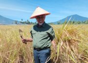 Tahun Emas Mahyeldi: Penghargaan Bergengsi Sepanjang 2024