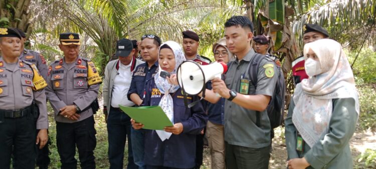 Pihak Pengadilan Negeri Pulau Punjung saat bacakan putusan eksekusi lahan sawit di tempat kejadian perkara, Jorong Siluluak Sungai Lansek, Kenagarian Siguntur, Kecamatan Sitiung, Kabupaten Dharmasraya, Rabu (11/9/24). BADRI