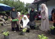 Nevi Zuairina Dorong KWT di Pasaman Barat Wujudkan Ketahanan Pangan Keluarga