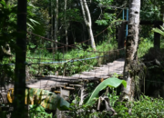 Hutama Karya akan Bangun Jembatan Gantung di Nagari Tandikek, Anggaran Rp1,1 M