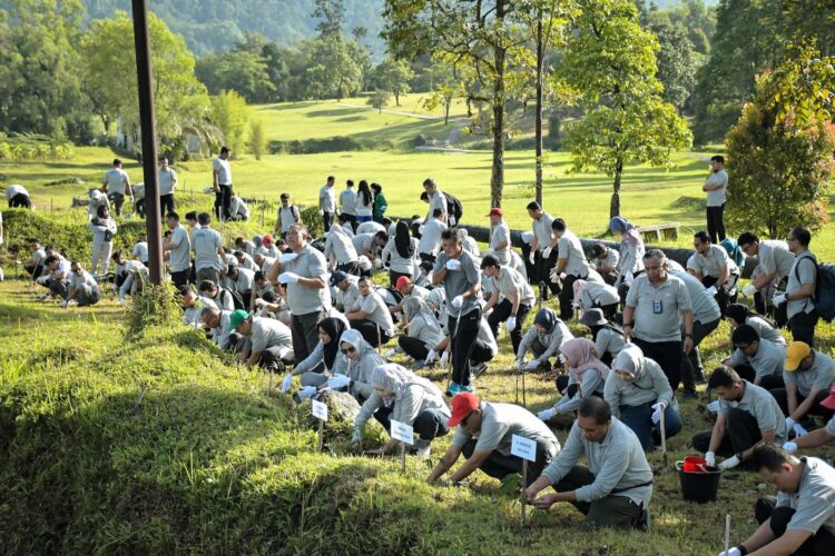Manajemen dan ratusan karyawan PT Semen Padang menggelar kegiatan bertajuk "A Million Acts of Green Kaliandra Planting Program" di Area Taman Kehati PT Semen Padang, Jumat (26/7). IST