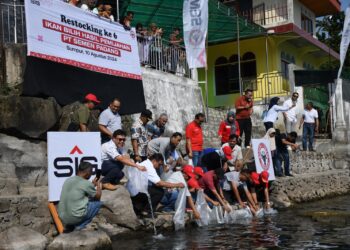 PT Semen Padang Restocking 3000 Ekor Ikan Bilih di Danau Singkarak