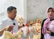 Cawawako Padang Hebat, Hidayat Sebut Kota Padang Akan Terus Tumbuhkan UMKM