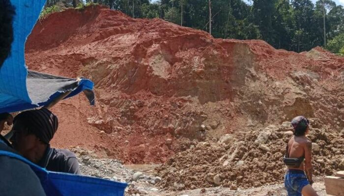 Puluhan Korban Tambang Emas Ilegal di Solok Berhasil Dievakuasi, Ini Data Korbannya!